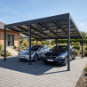Carport solaire avec pente, 2 places